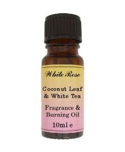 Coconut Leaf & White Tea (Paraben free) Fragrance Oil
